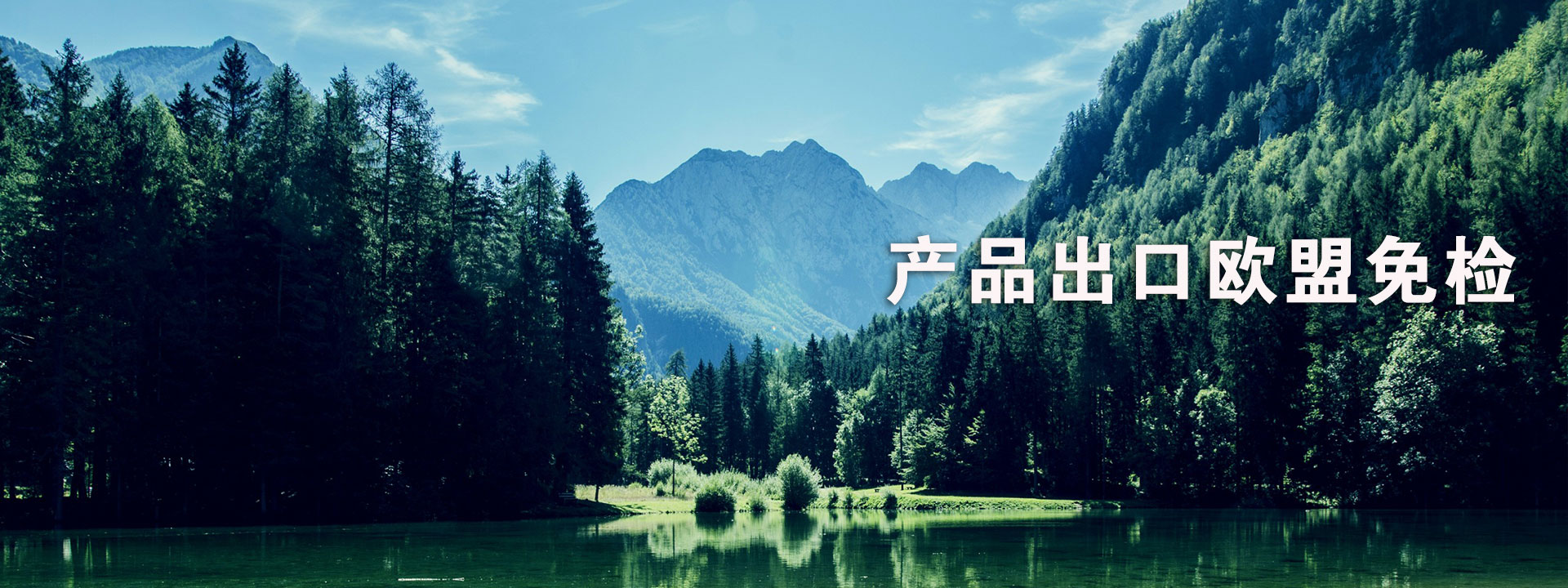濮陽市中勝化工有限公司